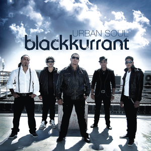 智能网络小鲤导航
