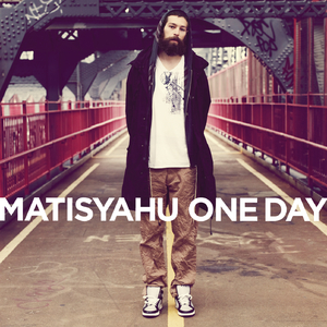 智能网络小鲤导航
