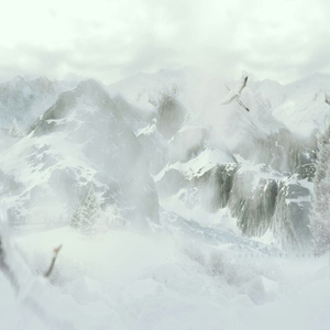 智能网络小鲤导航
