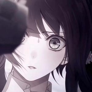 智能网络小鲤导航
