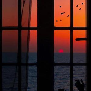 智能网络小鲤导航
