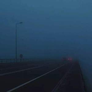 智能网络小鲤导航
