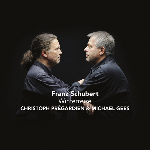 智能网络小鲤导航
